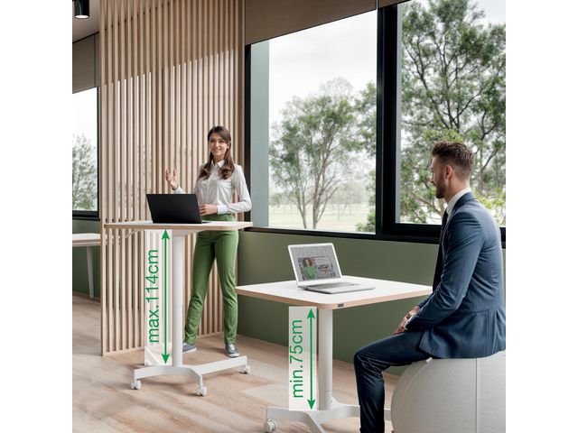 csv_image script asset.11188891.jpg