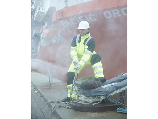 csv_image script asset.11195531.jpg