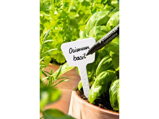 csv_image script asset.11203410.jpg