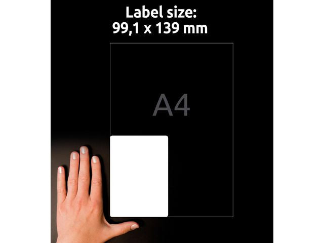 csv_image script asset.11208312.jpg