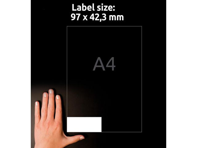 csv_image script asset.11208780.jpg