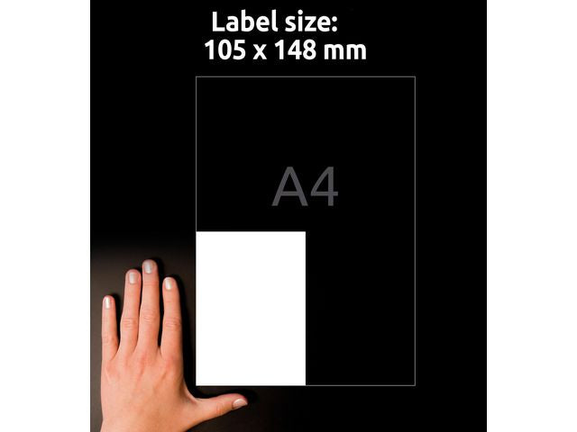 csv_image script asset.11208825.jpg