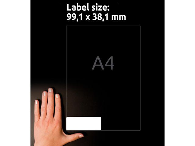 csv_image script asset.11208853.jpg