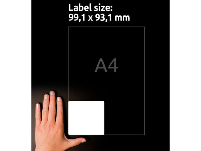 csv_image script asset.11208864.jpg