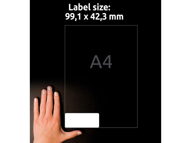 csv_image script asset.11208887.jpg