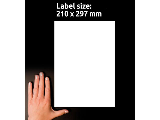 csv_image script asset.11208898.jpg