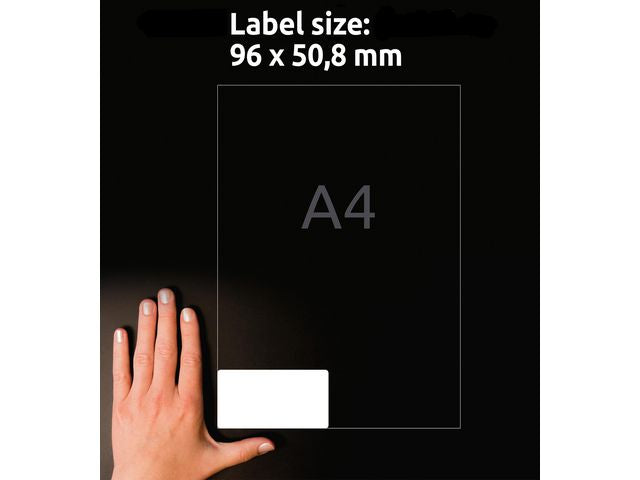 csv_image script asset.11209254.jpg