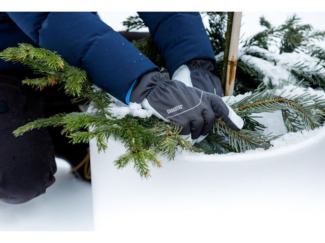 csv_image script asset.11211333.jpg