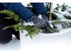 csv_image script asset.11211333.jpg
