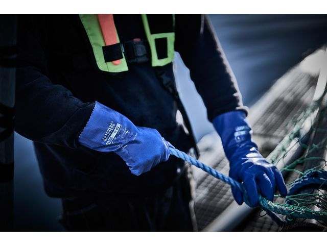 csv_image script asset.11211377.jpg