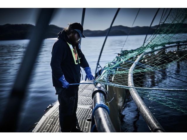 csv_image script asset.11211378.jpg