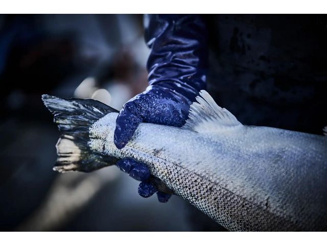 csv_image script asset.11211695.jpg