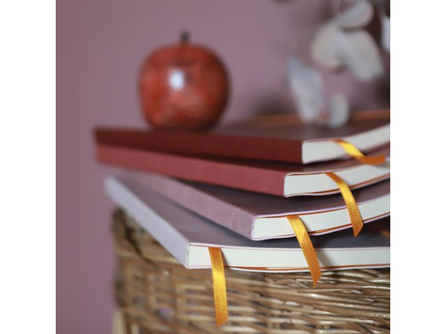 csv_image script asset.11218754.jpg