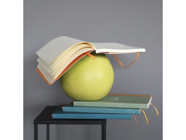 csv_image script asset.11218823.jpg