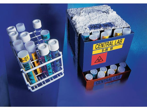 csv_image script asset.1272899.jpg