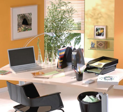 csv_image script asset.187119.jpg