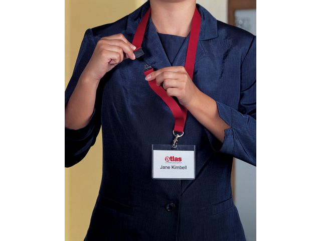 csv_image script asset.193775.jpg