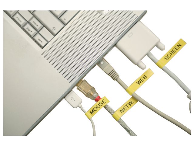 csv_image script asset.195265.jpg