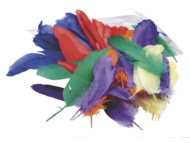 Decorative feather 15cm (120)