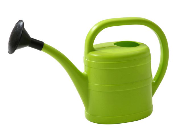 Water jug ​​2 liters green