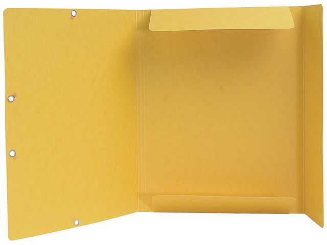 csv_image script asset.313069.jpg