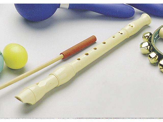 Recorder plastic