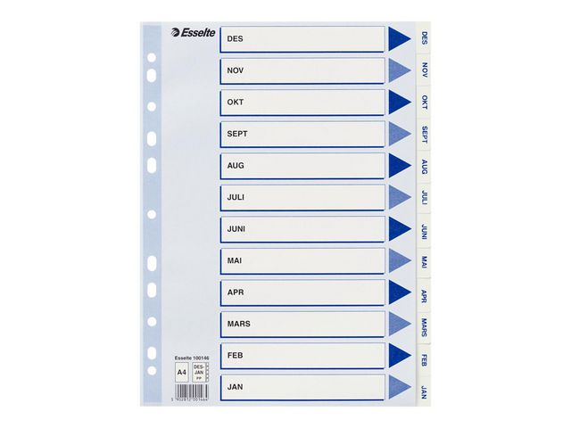 Register ESSELTE A4 plastic Dec-Jan white