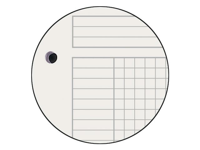 csv_image script asset.381702.jpg