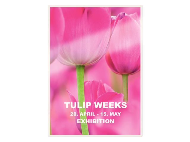 csv_image script asset.4025905.jpg