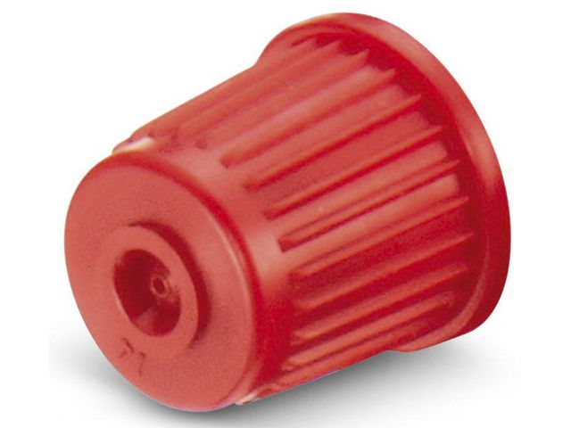 csv_image script asset.424586.jpg