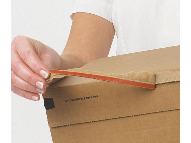 csv_image script asset.4260082.jpg