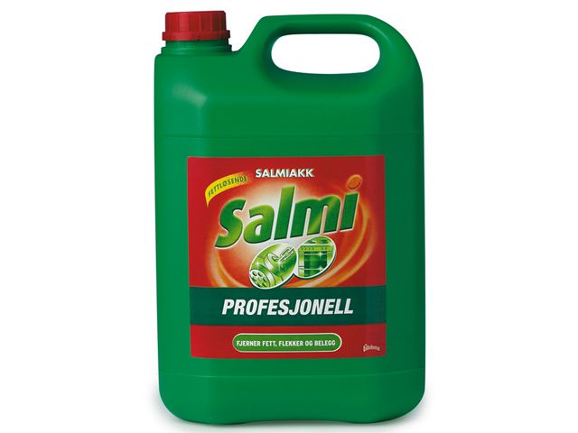 Cleaning SALMI 5L