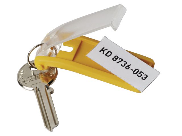 csv_image script asset.428096.jpg