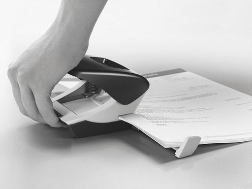 csv_image script asset.4708303.jpg