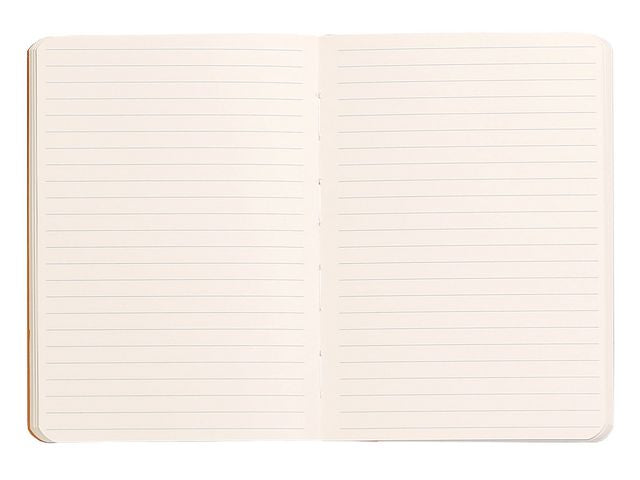 csv_image script asset.4856279.jpg