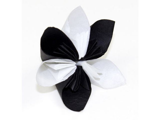 csv_image script asset.5165612.jpg