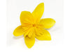 csv_image script asset.5165639.jpg