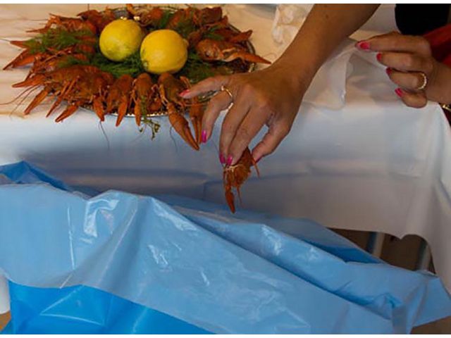 csv_image script asset.5183876.jpg