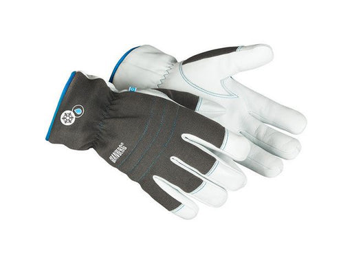 csv_image script asset.5545888.jpg