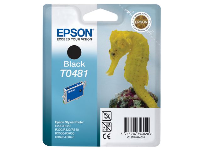 Blekk EPSON T0481 C13T04814010 sort