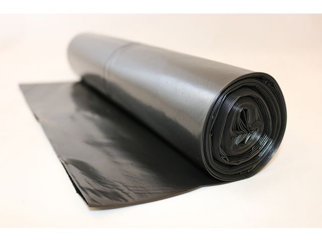 csv_image script asset.6519603.jpg