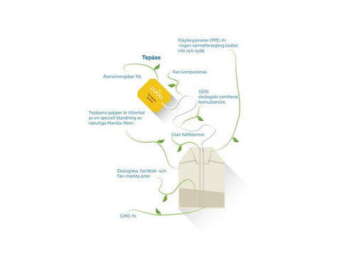 csv_image script asset.6911921.jpg