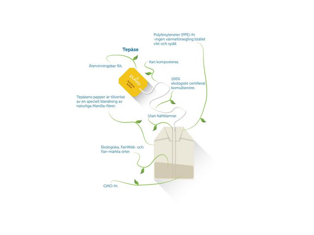 csv_image script asset.6911921.jpg