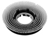 csv_image script asset.7077627.jpg