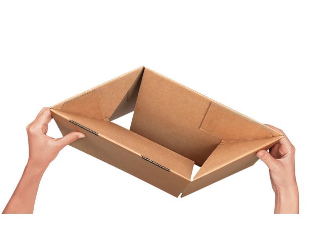 csv_image script asset.7278544.jpg