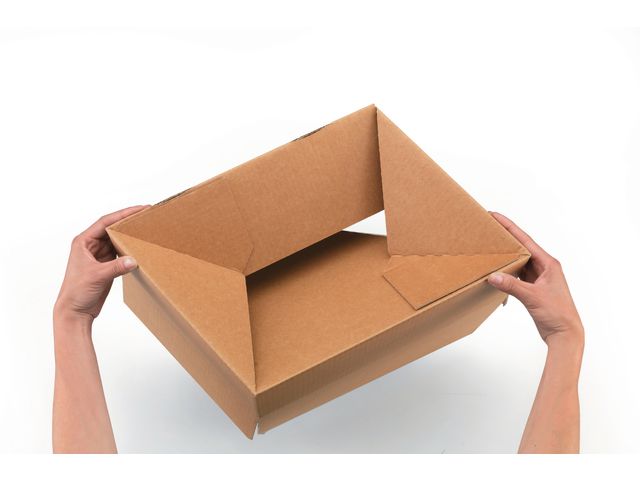 csv_image script asset.7278545.jpg