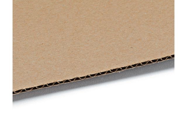 csv_image script asset.7312422.jpg