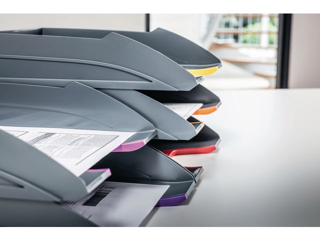 csv_image script asset.7629017.jpg