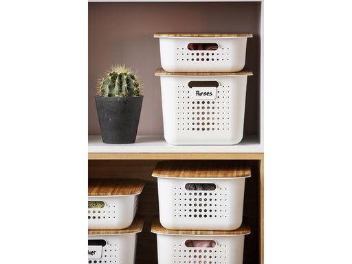 csv_image script asset.7853601.jpg