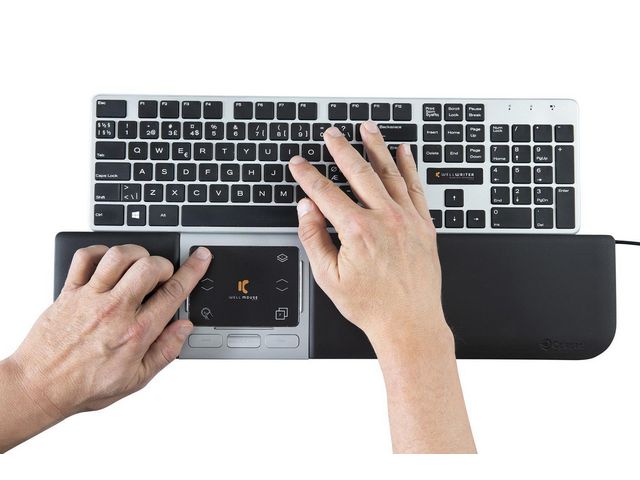 csv_image script asset.7856545.jpg